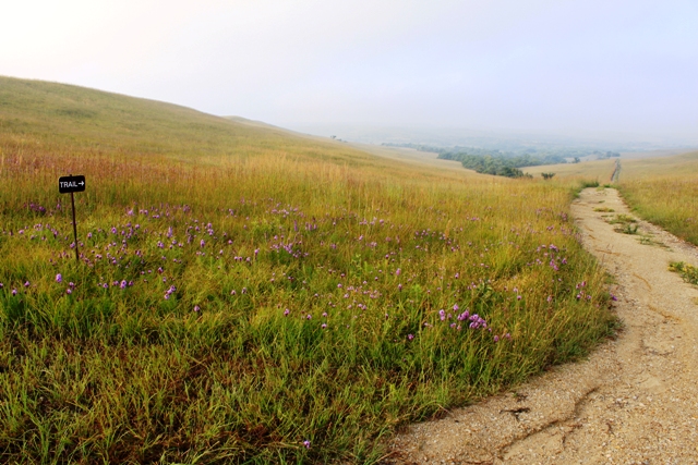 the 8 wonders of kansas geography a kansas sampler foundation project