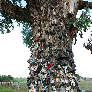 Putting shoes on a tree, Wetmore